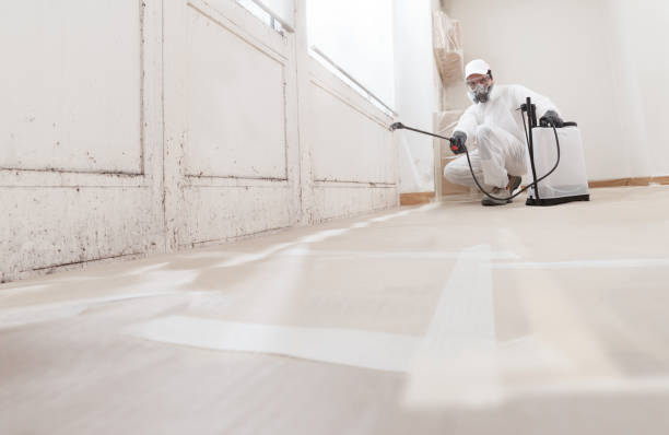 24/7 Emergency Bathroom Mold Removal experts in Thompson's Station, TN