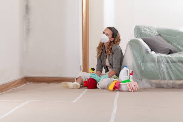 Reliable Bathroom Mold Removal contractor in Thompson's Station, TN by WQB Mold Removal